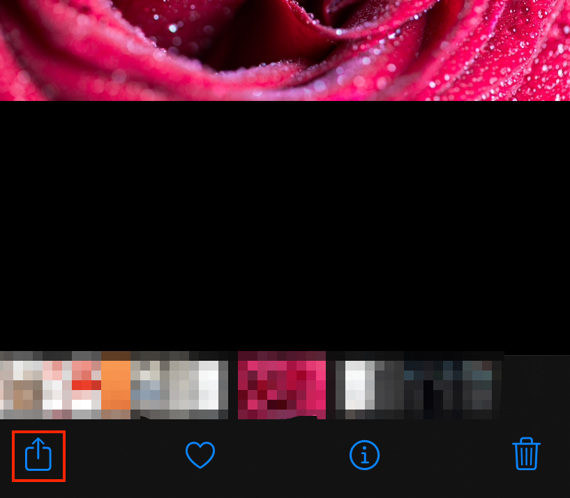 mosaic_20230418114715.png