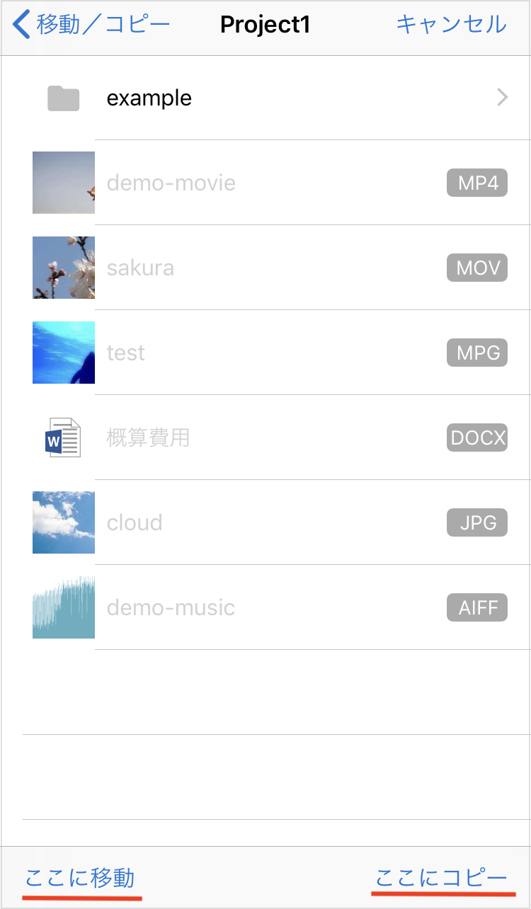 IMG_0866.PNG