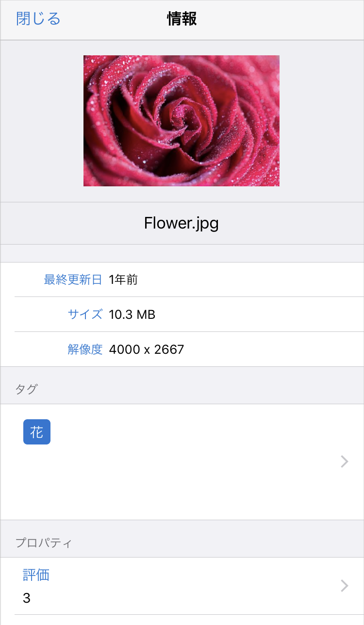 IMG_0986.PNG
