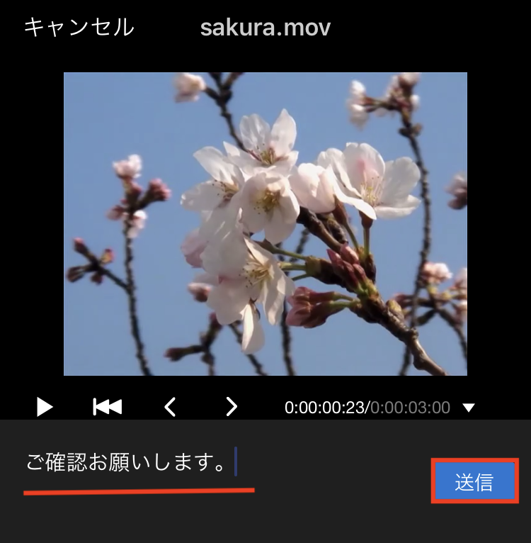 IMG_1166.PNG