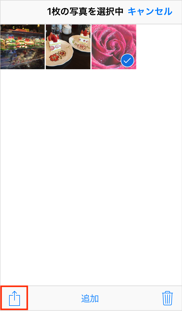 IMG_0021.PNG