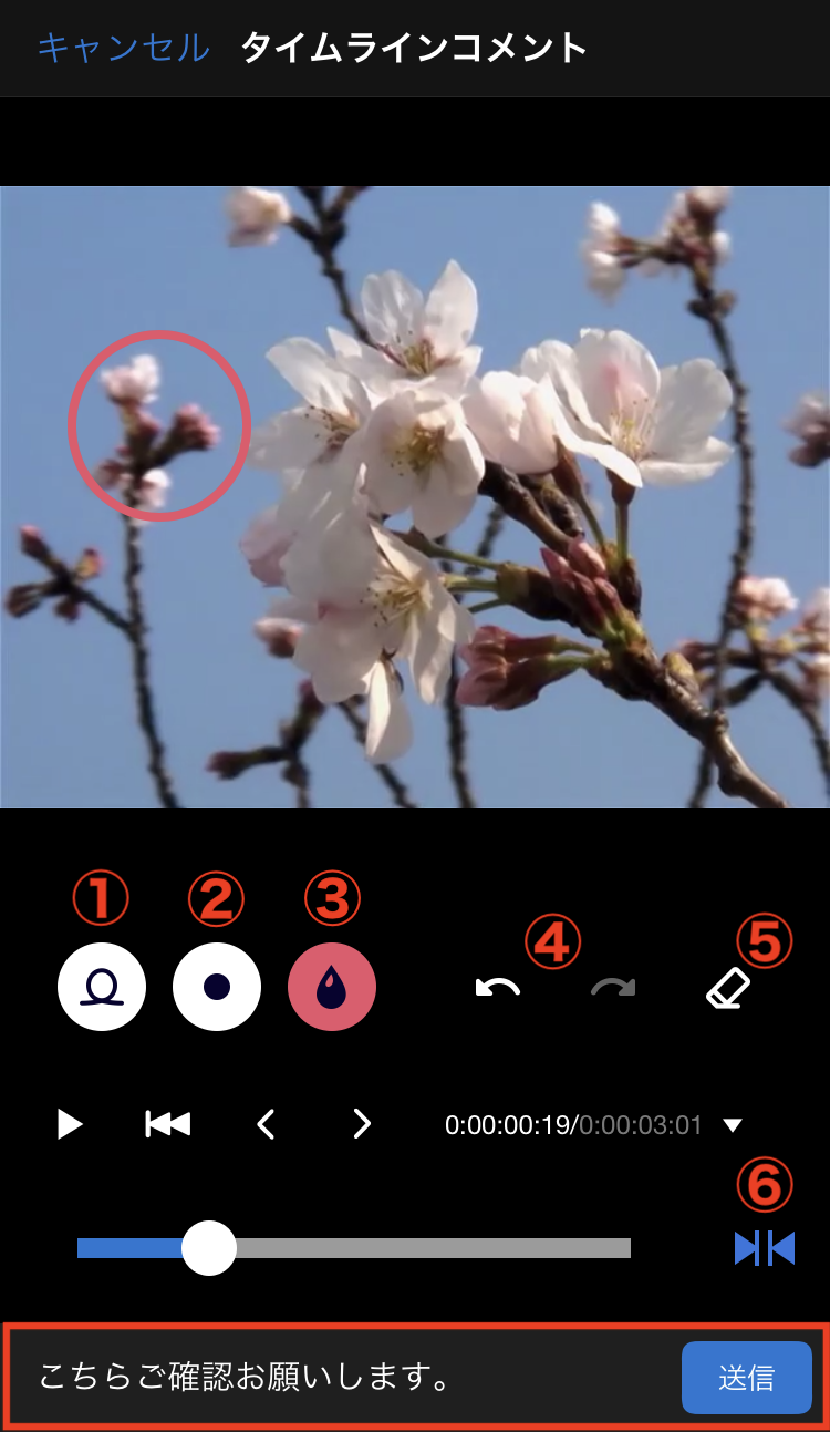 IMG_1249.PNG