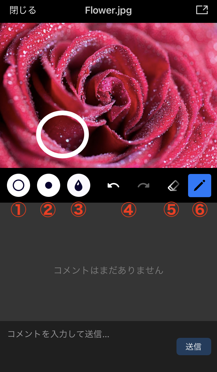 IMG_3250.jpeg